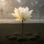 giới nền tảng đạo đức