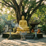 phật giáo là gì